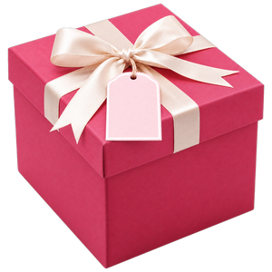 $10 Belnoir Gift Card